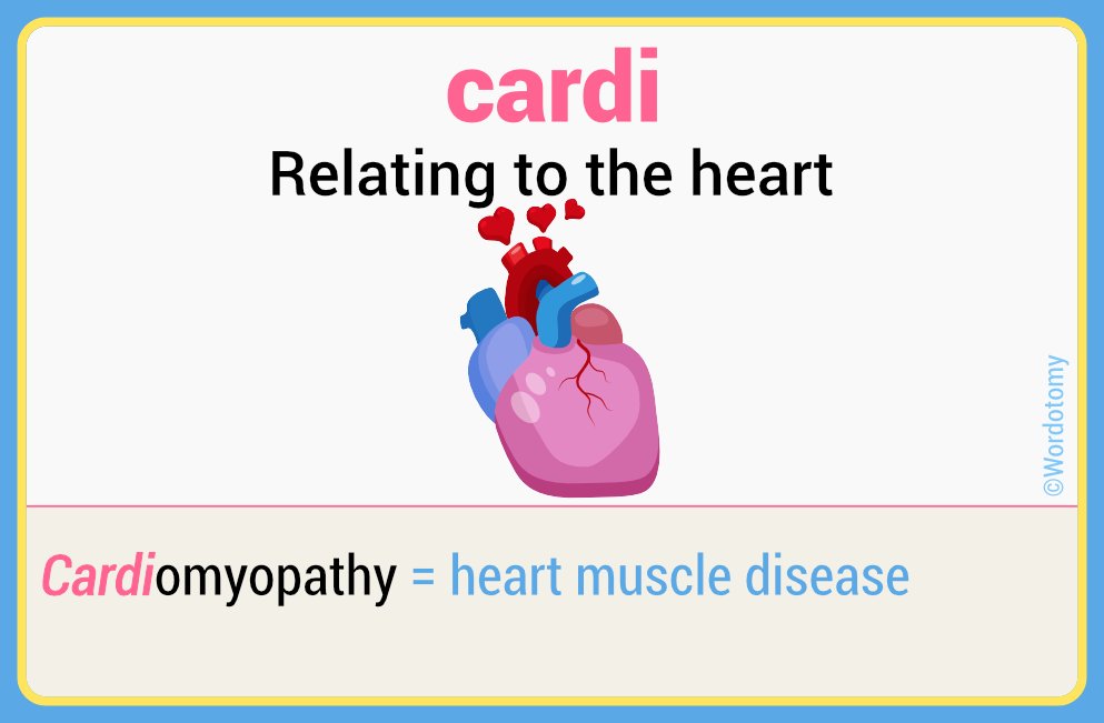 Root for Monday: 'Cardi' = relating to the heart, e.g. cardiomyopathy ❤️🩺
#anatomy #CardioTwitter #MedEd