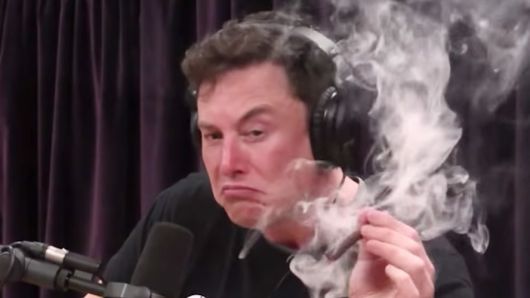 What's up, man? No more news of you these days 
<a href="/elonmusk/">Elon Musk</a>