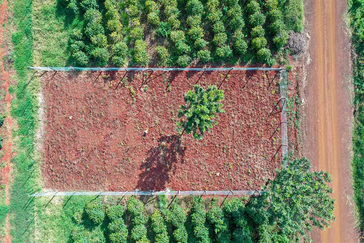 Invest in Oaklands today, one of Kenya's real estate properties with the highest growth in land value -12.6% growth in 2022, according to Hass Consult. 
Contact us today at 0709 441 000 or sales@oaklands.ke to book your plot.