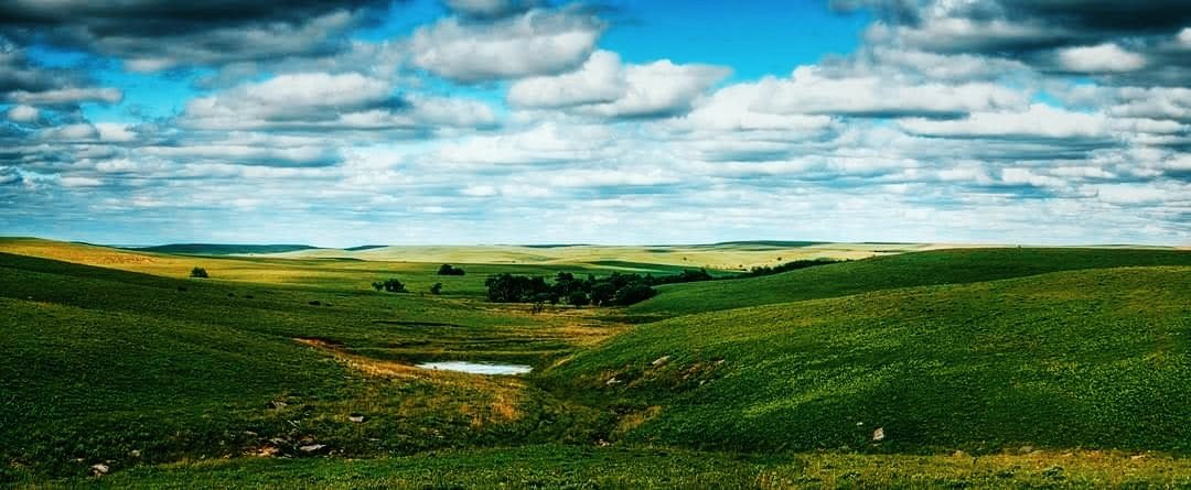 Railroader5150 tweet media