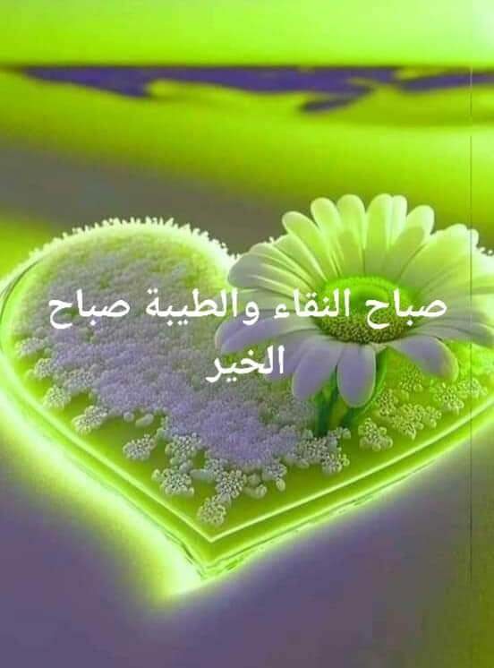 #صباحكم بجمال أرواحكم ..🍒💞 🕊️
وعذوبة كلماتكم ،صباح النسمات الباردة لقلوبكم الدافئة🌹

سلاما لأصحاب القلوب ..🕊️💞اللينة البسيطة ، الطيبة .. بشوشة الوجه .. ، يشعرون من حولهم ان الحياة 
أكثر رحابه .. 🌸☘️

طبتم و طابت أيامكم 🌸🌹💞
 
🕊️...صباح الخير والرضا والطمأنينة والسكينة