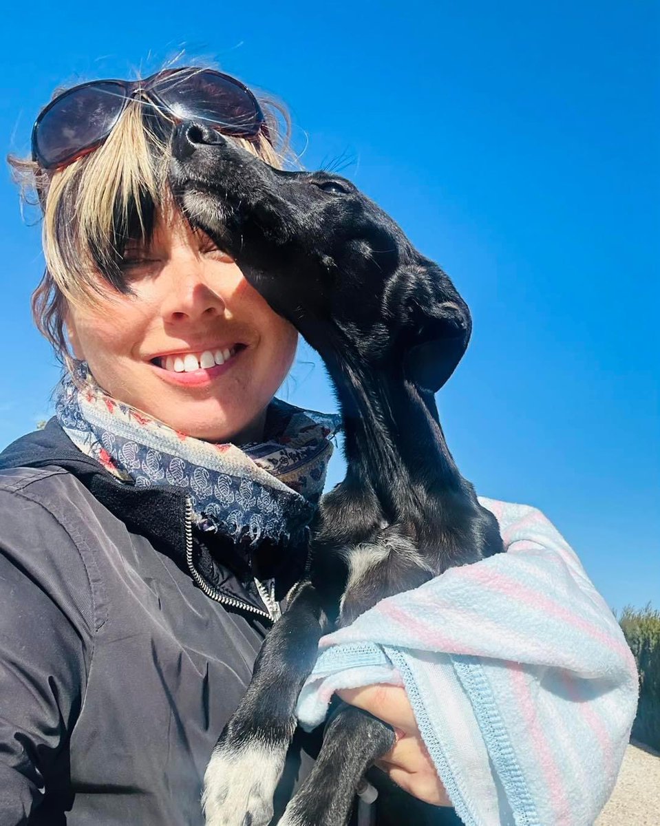 GalgosdelSol's tweet photo. Tickles update❤️She’s eating &amp; drinking well. Body temp is staying pretty normal now &amp; we finally have regular poops n pees 😀 Next up to see the trauma vet about the broken legs 🤞 fingers crossed they can help her 🙏❤️ https://t.co/0VhIYewALO