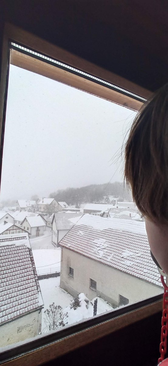 Que bonito es ver nevar con ventisca desde el calor del hogar 🙌🙌
#nieve #SelvadeIrati #PirineoNavarro #Abaurregaina #abaurreaalta