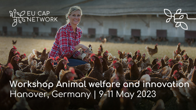 ⏰ Last day to apply!

Do you want to you share your knowledge on #animalwelfare and #innovation at farm level? 🐷🐓

Join the upcoming <a href="/eucapnetwork/">EU CAP Network</a> workshop:

🗓️ 9-11 May 2023
📍 Hanover, Germany

Apply now 👉 kont.ly/848b8d00
