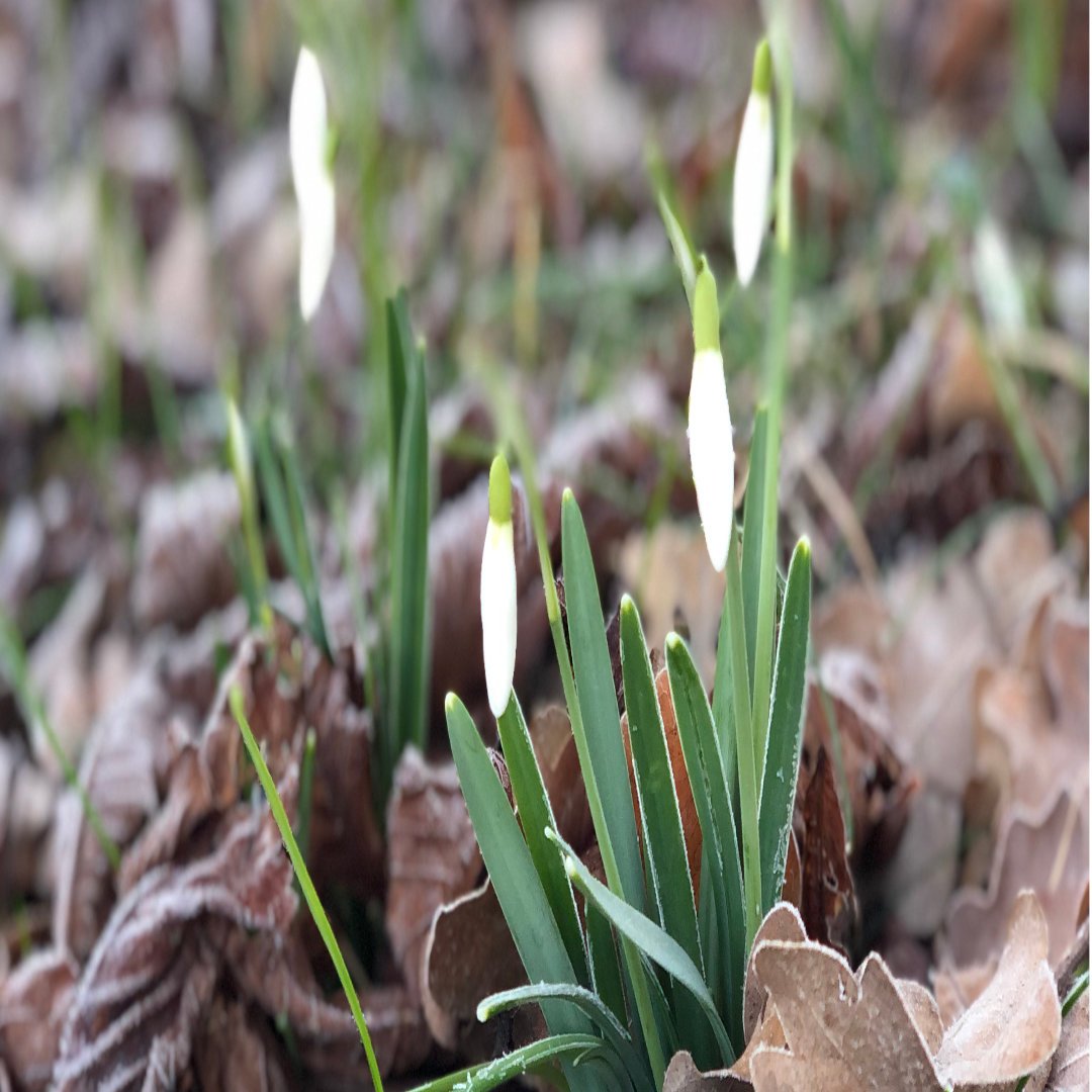 BK_GmbH's tweet photo. Pssssst! 🤫 Der Frühling klopft an... Wir wünschen euch einen sonnigen Start in die neue Woche!💙🧡
#frühling #neuewoche #wochenstart #bksanitätshaus https://t.co/aJToObgj6h
