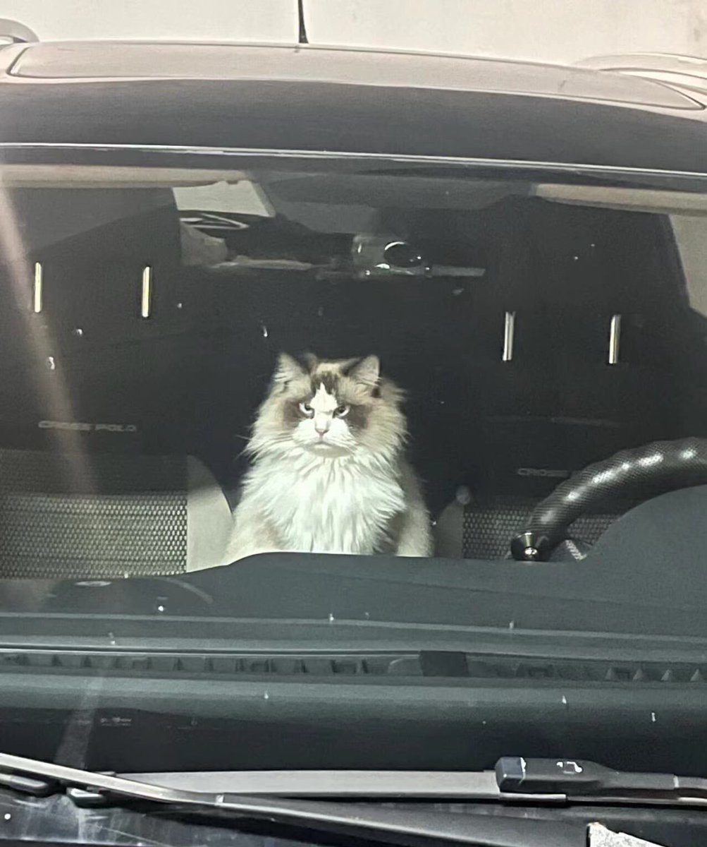 dramixmag's tweet photo. 😾 https://t.co/RC2umNM3nI