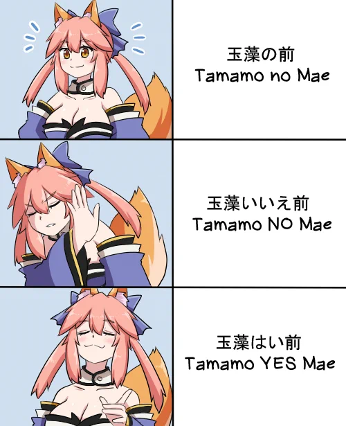 Tamamo YES Mae meme
#FGO #FateGO 