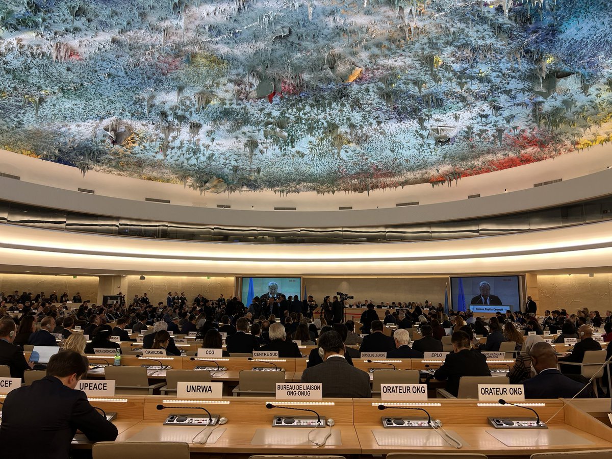 Georgia UN/Geneva tweet media