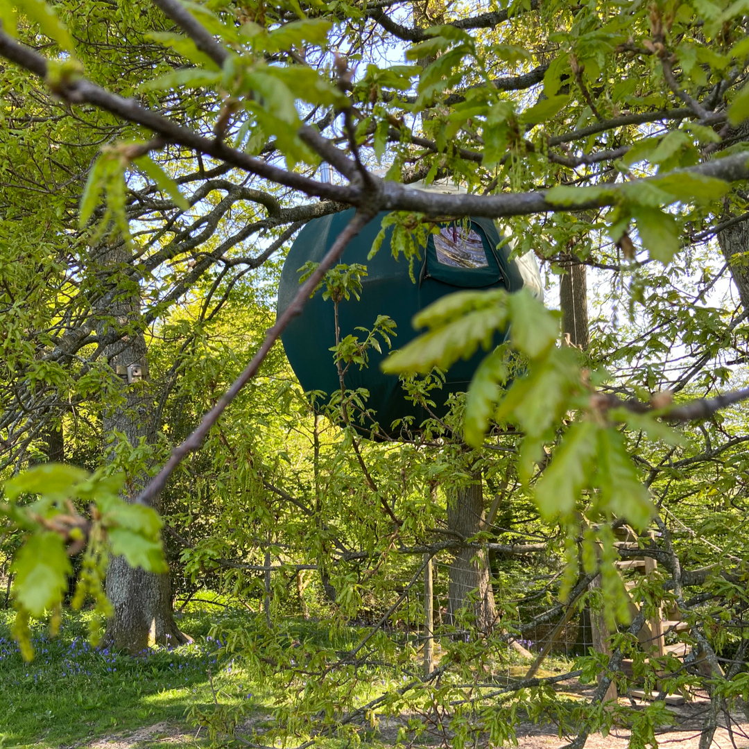 The Secret Campsite tweet media