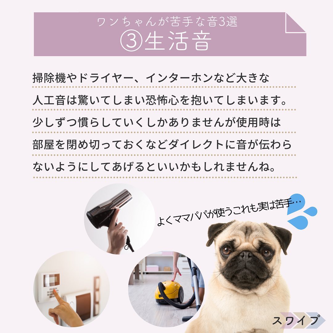 WANDEL_official's tweet photo. 今日はワンさん🐶の苦手な音の紹介っす🎵
日常生活でどうしても避けれない音も多いっすね🤔
ちょっとした対策でワンさんの負担を減らしていきましょう💪
#犬好きさんとつながりたい https://t.co/Ch4nRFOOXN