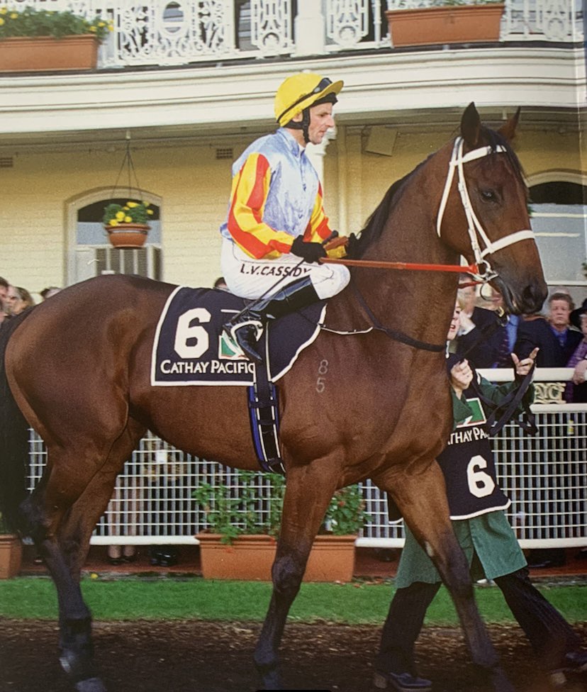 RodsRacing1's tweet image. SUNLINE