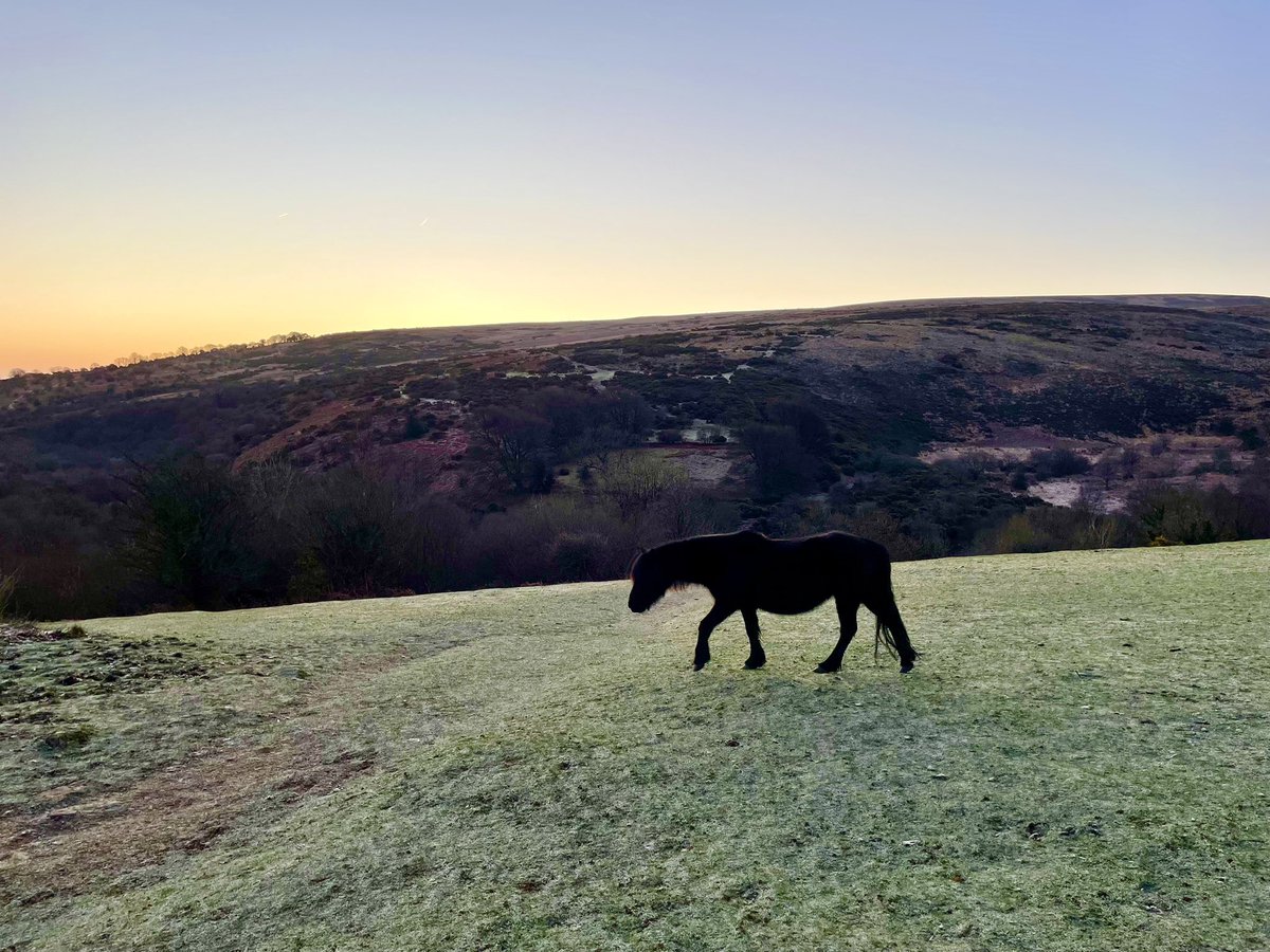 Good morning Monday 💚
#Dartmoor #HeartofDevon #VisitDartmoor