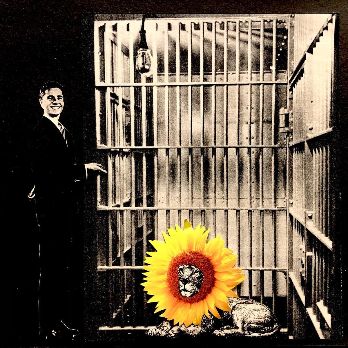 oniricascollage's tweet photo. ✂️
Día 27 #februllage
#xirasol #sunflower #girasol
#februllage2023 #collage #oniricas #cortapega #colaxe #papercollage #edimburgocollagecolective #aLionAndAnAnimal https://t.co/StxCWV2XnZ