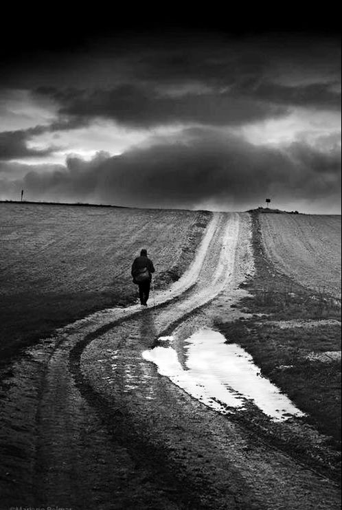 chbormans's tweet photo. «Chaque homme dans sa nuit s’en va vers sa lumière.»

￼— Victor Hugo
#LesContemplations https://t.co/0EcTKijZqs