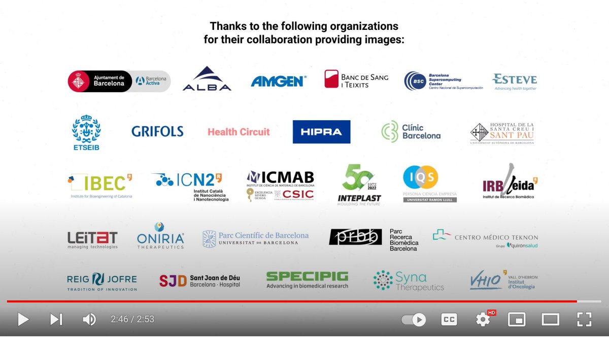 Specipig tweet media