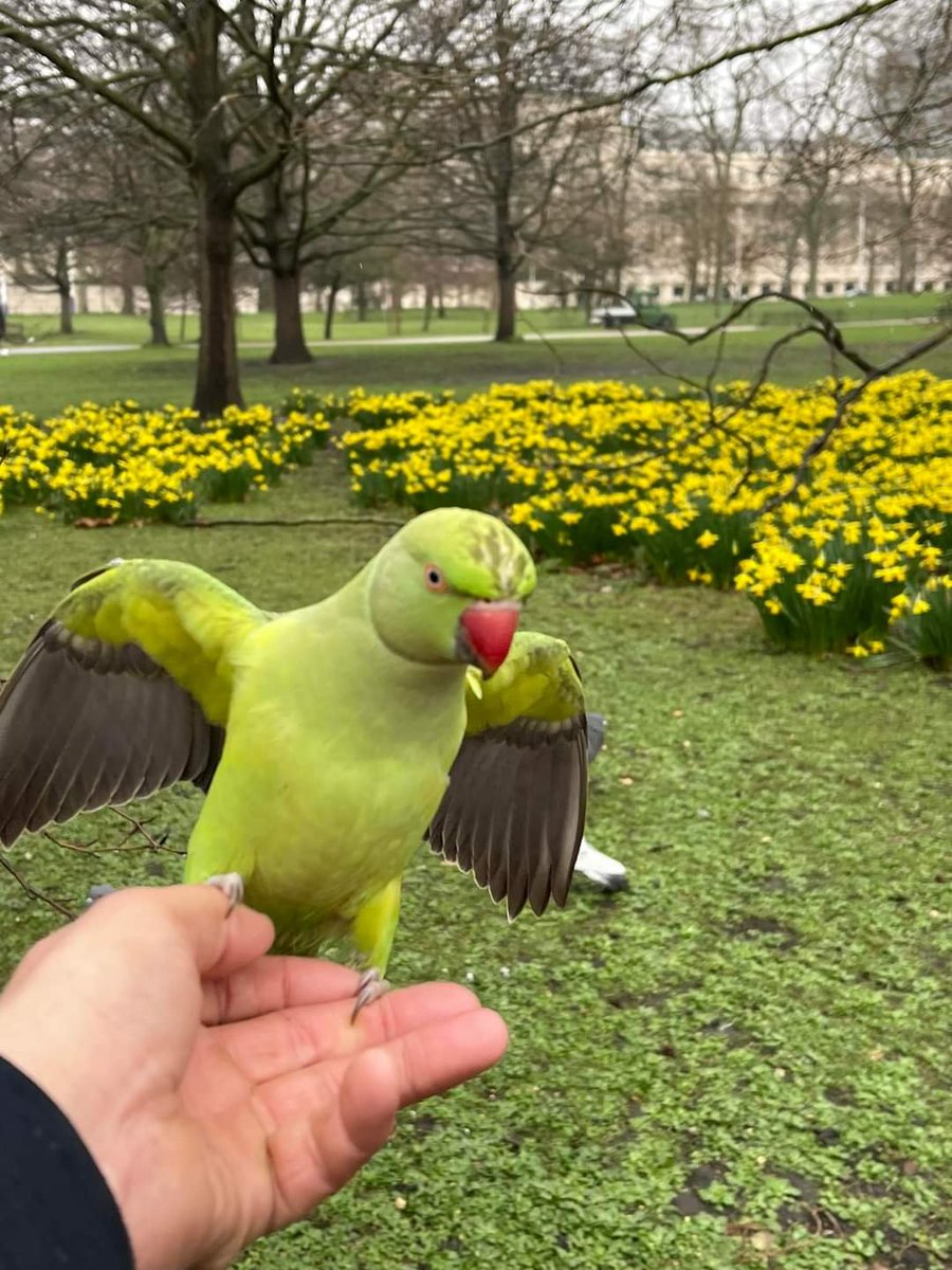 FreshLogistics's tweet photo. In St. James park
Refrigerated Storage & couriers.
Call 0800 612 6512
#chilled #transport #refrigerated #temp #controlled #sameday #experiental #marketing #frozen #storage
https://t.co/U8mZthQCPN https://t.co/l9EIPLff5h