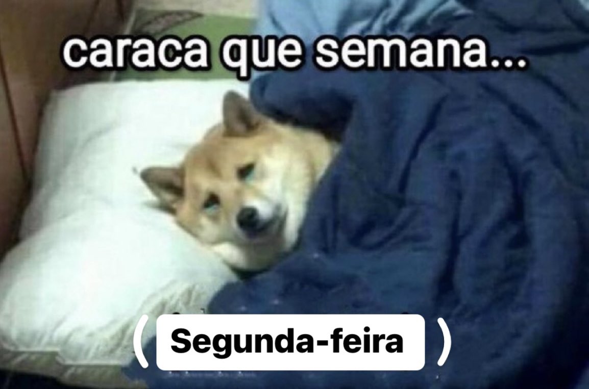 Trouxinha (@euovitinn) on Twitter photo 