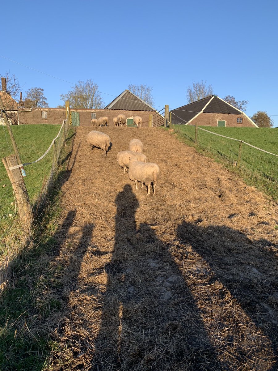 vier minuten per dag
wordt het lichter
je hoeft geen rekening te houden
met het donker 
ik houd er rekening mee
dat het lente wordt