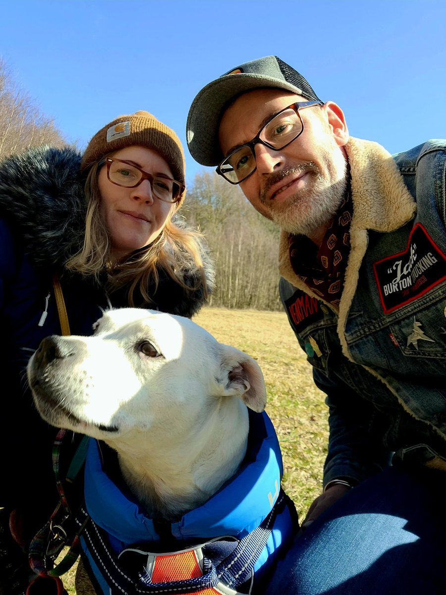 Eclectic Hound tweet media