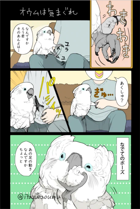 紛らわしい素振りで惑わせてきます 