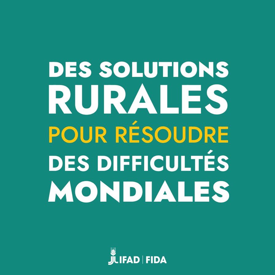 FIDAfriqueOuest's tweet photo. Investir dans les populations rurales c’est investir dans le développement et la croissance🌾🌽🎋 https://t.co/flrmVyaMdh