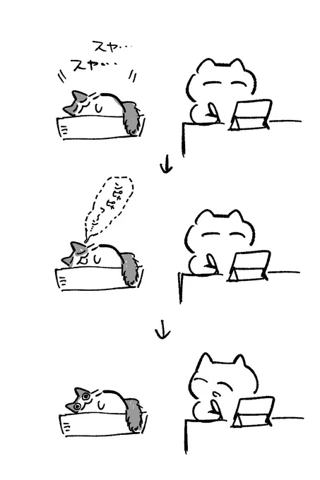 自分の寝言でびっくりする猫 