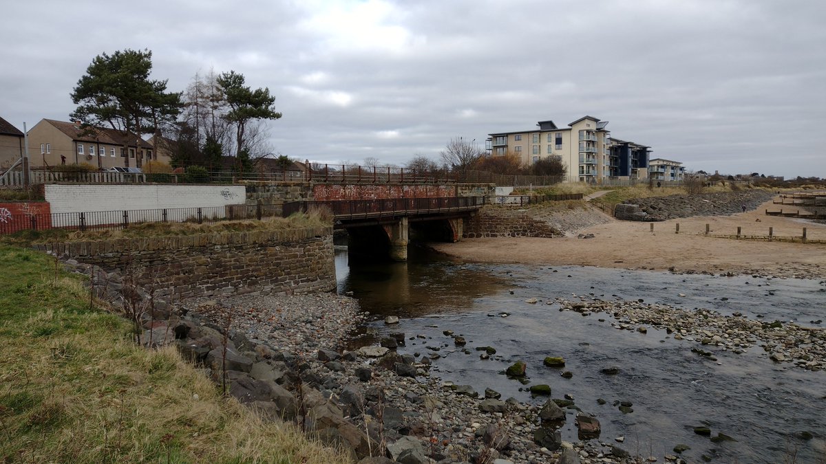 A last crossing of the Dighty Burn via this little footbridge, hanging off the side of the rail bridge. There are signs up saying that work is about to start on a wider replacement, part of the ongoing coast path upgrades.