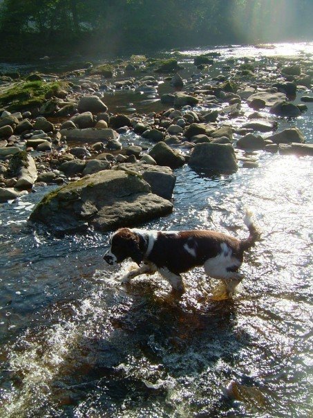 JO ATKINSON tweet media