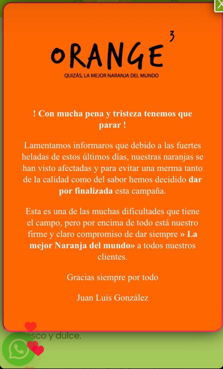 Orange3 🍊 tweet media