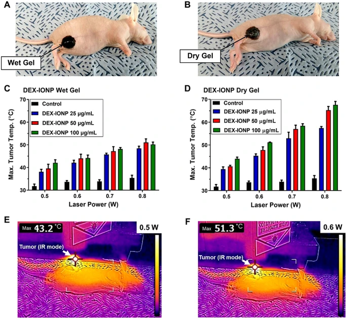 KoreaCRS's tweet photo. (Journal of Pharmaceutical Investigation)
Iron oxide nanoparticles-loaded hydrogels for effective topical photothermal treatment of skin cancer | Meong Cheol Shin, Gyeongsang Univ. | (https://t.co/eeyDuzk4dF)
#JPIN #KPSPT #Ironoxidenanoparticles #photothermaltherapy https://t.co/puNy928m4S