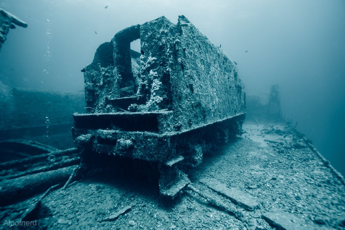 aloof_nerd's tweet photo. Daydreaming ๐ถโ๐ซ๏ธ about the #Thistlegorm โ๏ธ Whenever I have to handle administrative & computer work, I can return to my photographs to relive my adventures. Does anyone else do this?
#shipwreck #wreck #scubadiving #scuba #underwaterphotography #uwphotography #underwater https://t.co/kzf57GqsBn