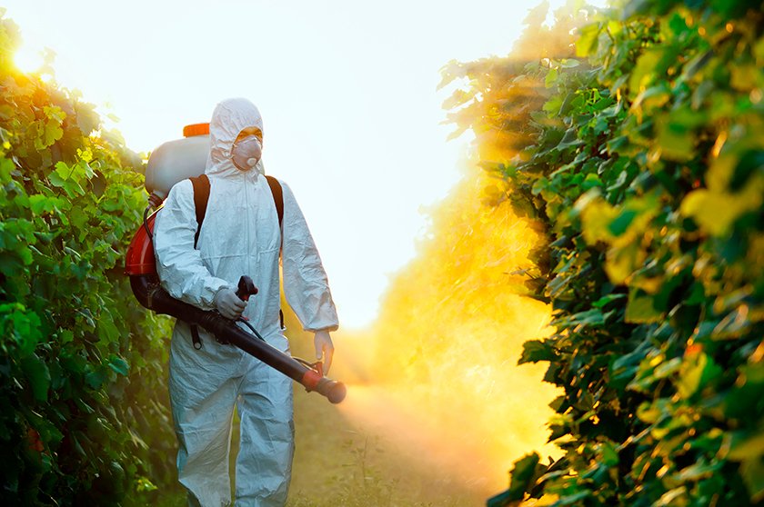 За даними ВООЗ у світі використовується понад 1000 типів пестицидів. Але, як свідчить практика, використання синтетичних пестицидів не є обов’язковим для успішного сільського господарства. 
Детальніше 👉 dossier.org.ua/news/negative-…
#organic #organicinfo #GreenDeal #biodiversity