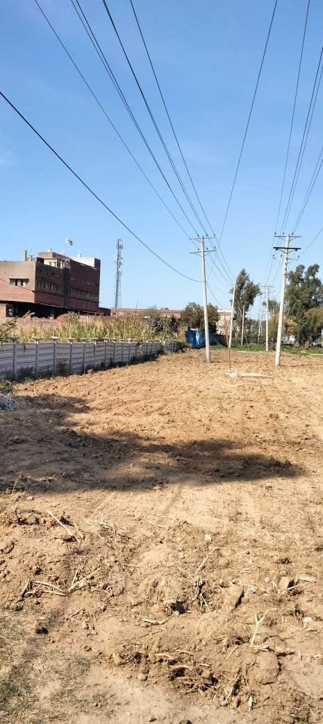 DCGRW's tweet image. Preparation of green belts for beautification &amp;amp; #SpringPlantation drive at Wazirabad 

@CS_Punjab 
@CommissionerGu3