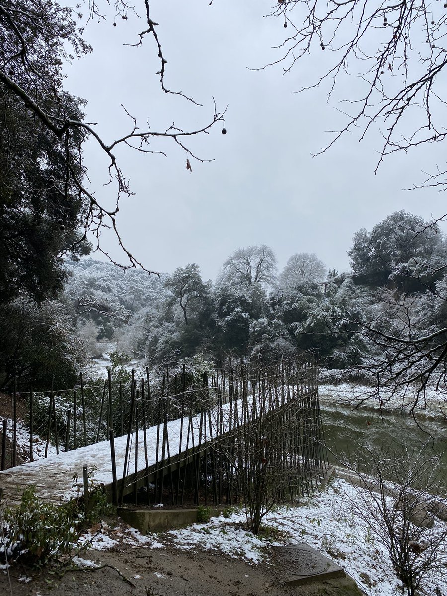 Albert Vilalta tweet media