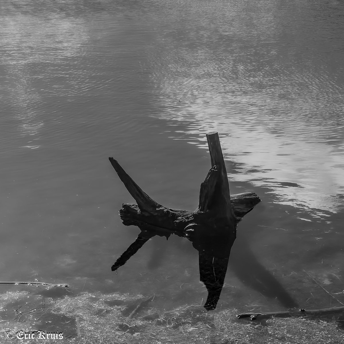 pictureric's tweet photo. Reflections in B&W
#blackandwhitephotography #blackandwhite #blackandwhitephoto #bnw #bnwphotography #reflections #reflection #waterreflection #reflectioninwater #OLYMPUS https://t.co/RNXYC6FLVk