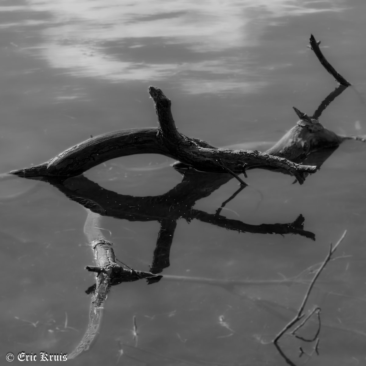 pictureric's tweet photo. Reflections in B&W
#blackandwhitephotography #blackandwhite #blackandwhitephoto #bnw #bnwphotography #reflections #reflection #waterreflection #reflectioninwater #OLYMPUS https://t.co/RNXYC6FLVk