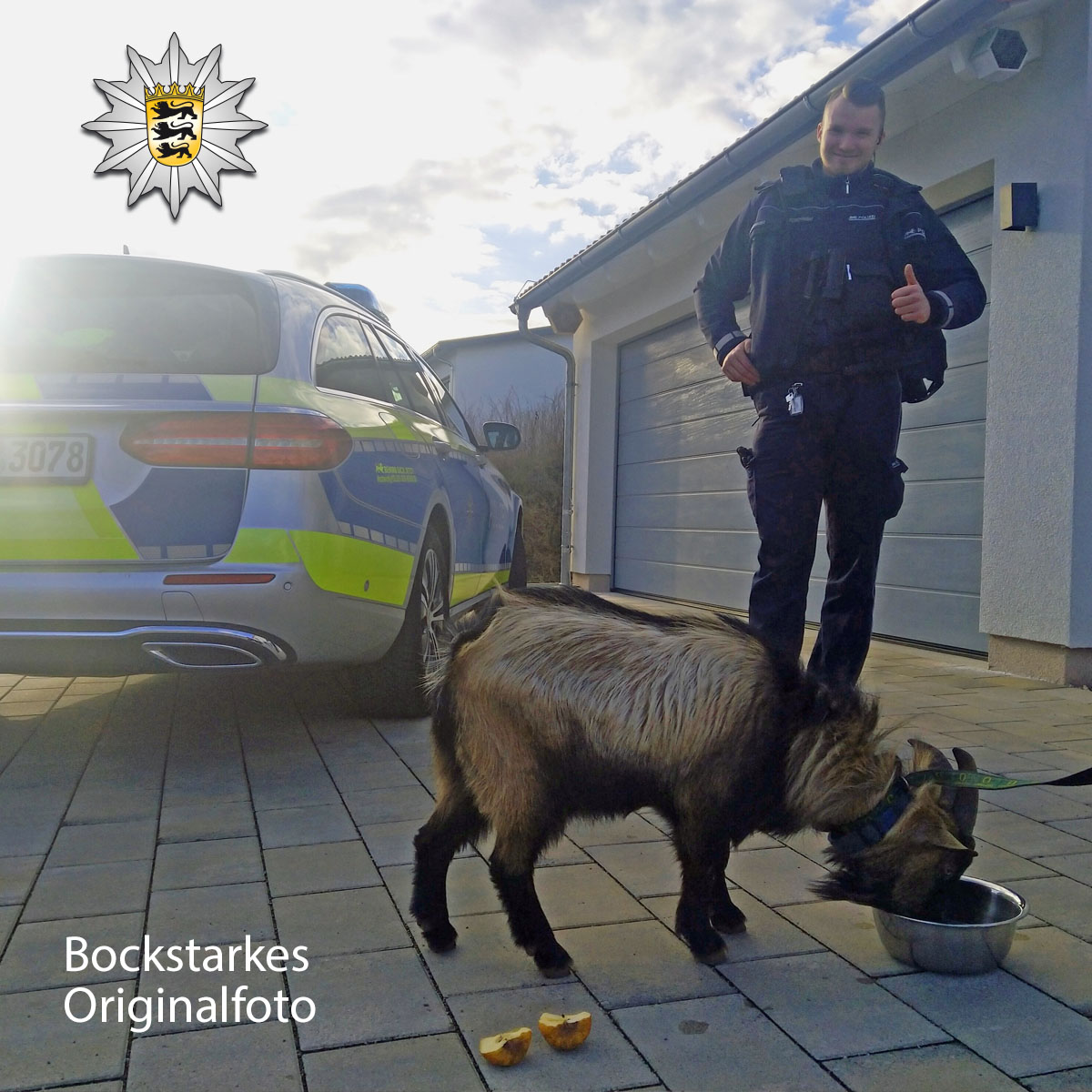 PolizeiFR's tweet photo. Landkreis #Lörrach - #Rheinfelden/#Herten -- Freilaufender Geißbock sorgt für Aufruhr
https://t.co/kujA5lU8R0
#polizei #bockstark https://t.co/A8XvWPWec1