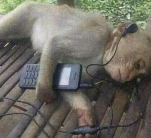 Flantasma1's tweet photo. Yo escuchando música triste porque algo tengo, no se que tengo pero algo tengo https://t.co/L9gighEOJf
