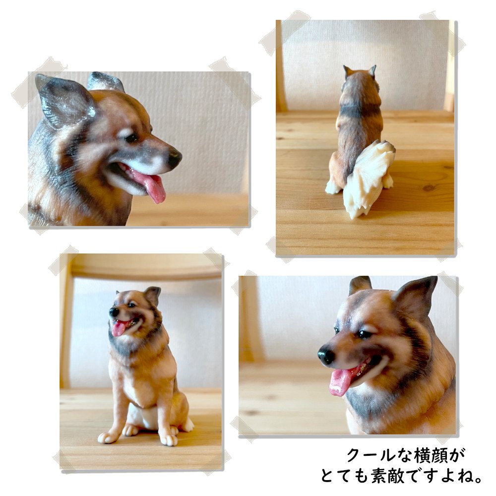 3dpetshop's tweet photo. 雑種犬のコロちゃん。クールそうな雰囲気と笑顔のギャップがとても素敵です。子供の頃に飼っていたワンちゃんとも再会できるのはフィギュアの一番お勧めできるところです。
#3DPETSHOP
#雑種犬
#愛犬 #犬 #dog
#ペットフィギュア #petfigure
#フィギュア #3dfigure #figure
#3dcg #design
#pet #ペット https://t.co/1nrkf4EUGx