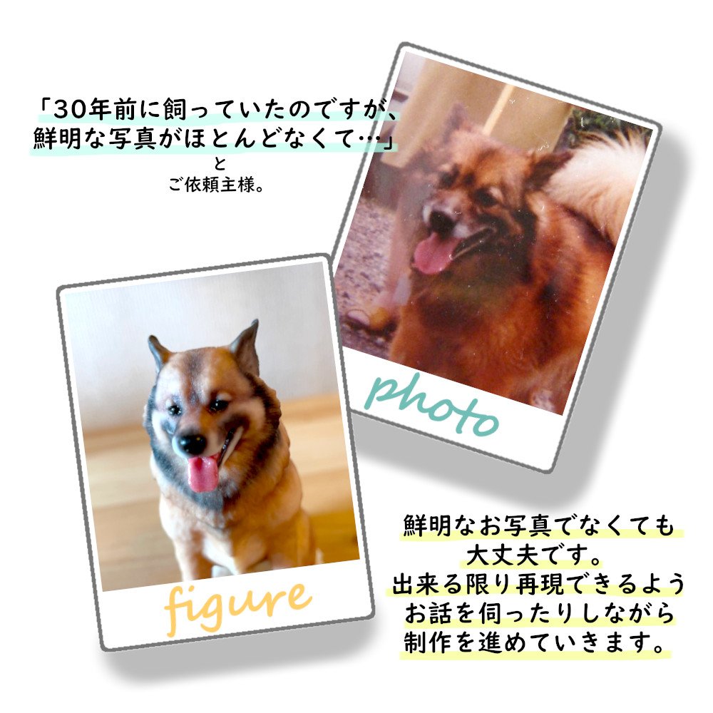 3dpetshop's tweet photo. 雑種犬のコロちゃん。クールそうな雰囲気と笑顔のギャップがとても素敵です。子供の頃に飼っていたワンちゃんとも再会できるのはフィギュアの一番お勧めできるところです。
#3DPETSHOP
#雑種犬
#愛犬 #犬 #dog
#ペットフィギュア #petfigure
#フィギュア #3dfigure #figure
#3dcg #design
#pet #ペット https://t.co/1nrkf4EUGx