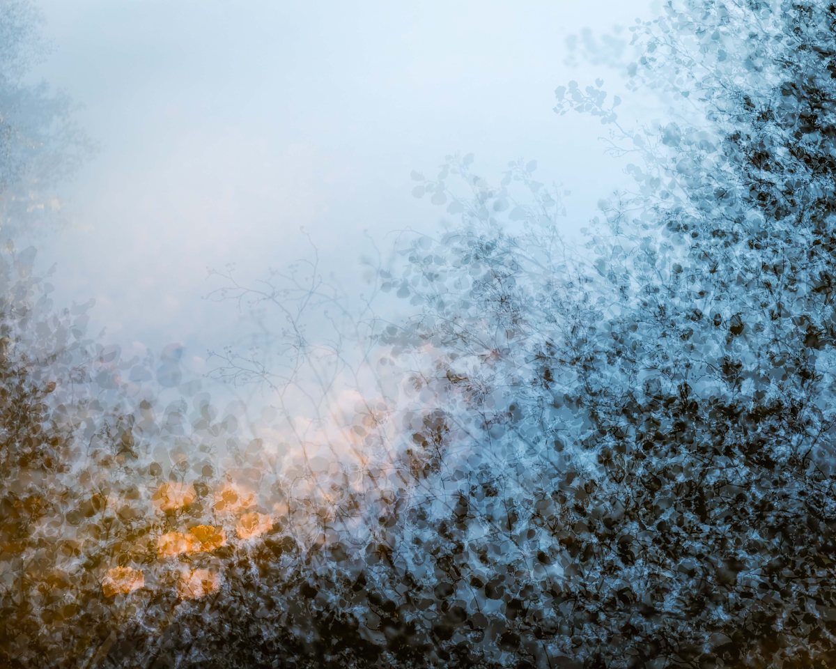 lensdistrict's tweet photo. I'll try that again....New edition of my newsletter is now ready to view - a big thanks to @WendyBagnall_  for a lovely chat and a fascinating insight into her work (images below courtesy of Wendy) to download follow the link below: #landscapephotography 

https://t.co/fdto9ZAwhy https://t.co/GniH0hAcB7