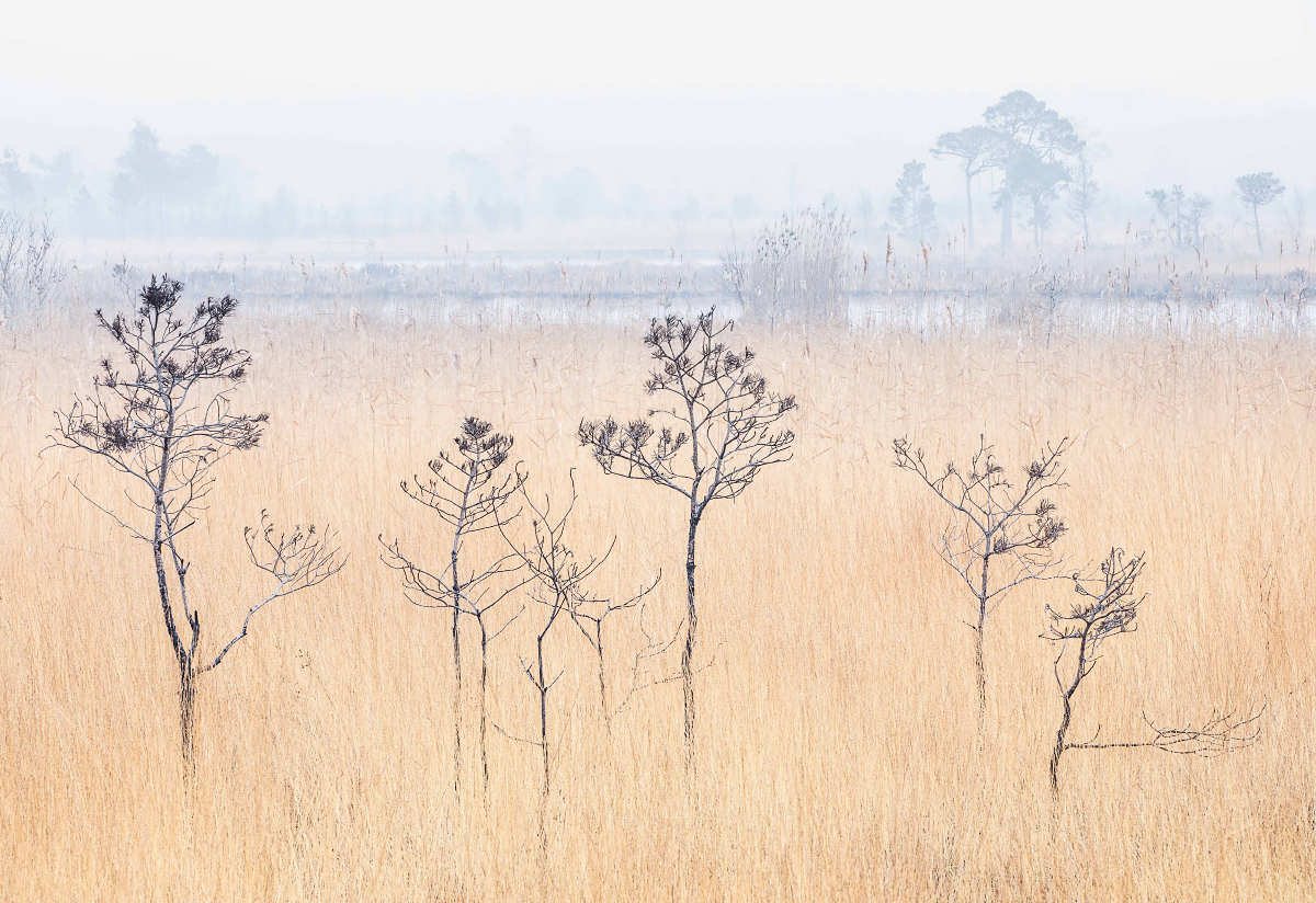 lensdistrict's tweet photo. I'll try that again....New edition of my newsletter is now ready to view - a big thanks to @WendyBagnall_  for a lovely chat and a fascinating insight into her work (images below courtesy of Wendy) to download follow the link below: #landscapephotography 

https://t.co/fdto9ZAwhy https://t.co/GniH0hAcB7