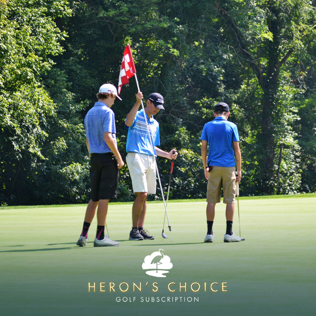 BrambletonGolf's tweet photo. Looking for a golfing experience that's tailored for you? Then look no further than Heron's Choice Golf Subscription! Whether you're an avid golfer or a casual player, Heron's Choice offers something for everyone. Info: https://t.co/TV058jyXlJ https://t.co/tb3tEwHS73