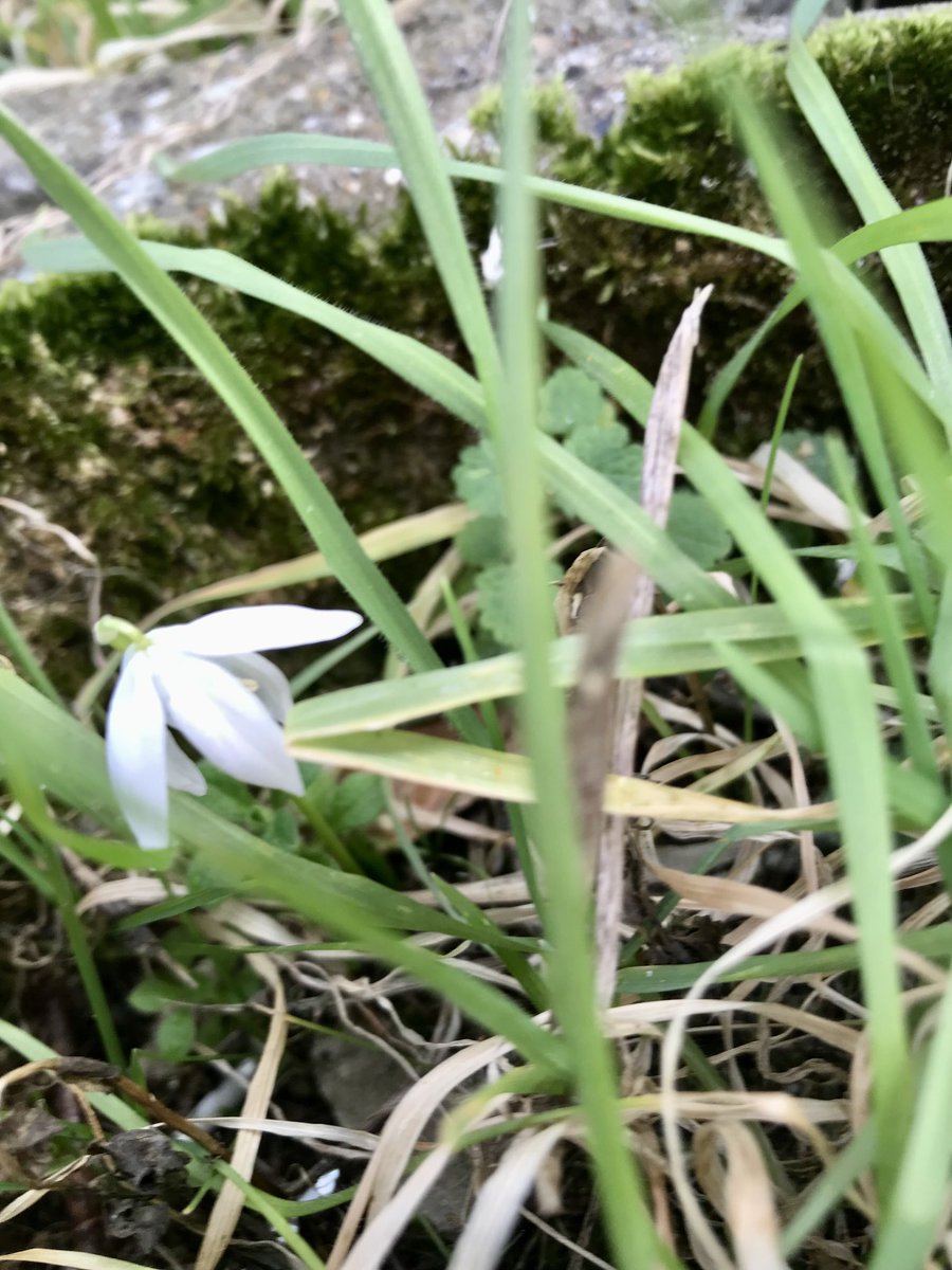 karen thompson tweet media