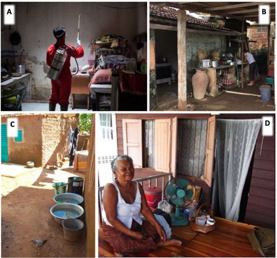 Facchinelli et al. reviewed the literature on adult #Aedesaegypti biology and behaviour, within and close to the human home. 

👉The full text is available here: mdpi.com/1999-4915/15/3…