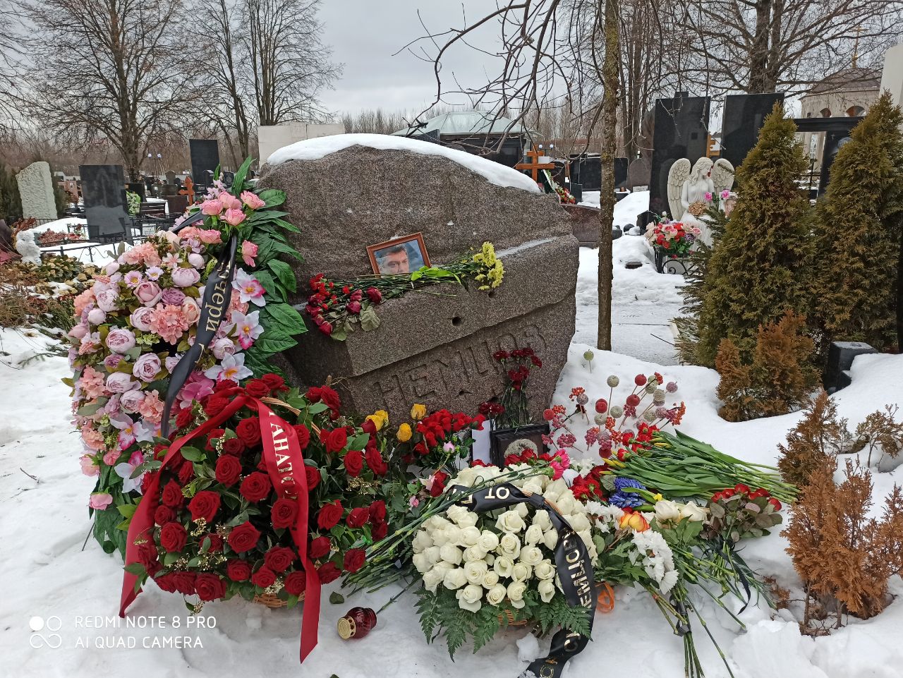 троекуровское кладбище могила караченцов фото