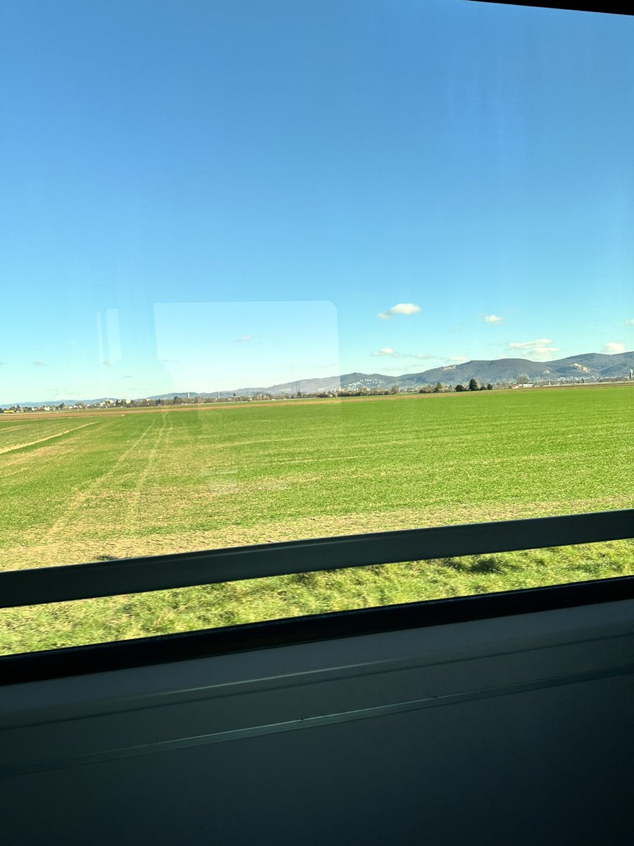 nikvagk's tweet photo. York has been truly wonderful, but it’s time for New beginnings! Couldn’t be more excited about what lies ahead! Gießen I’m coming! https://t.co/5NunDTiE14