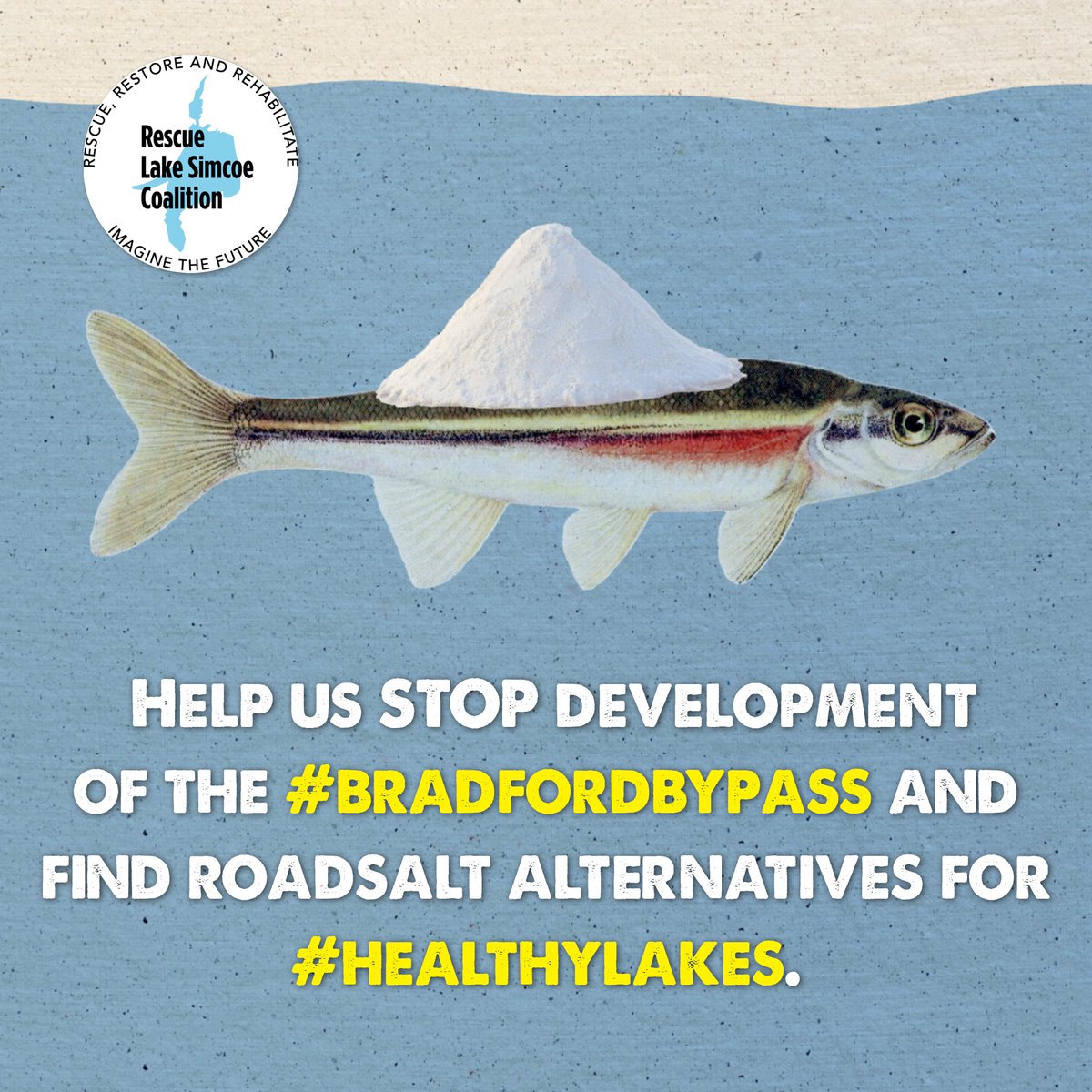RLSC_Watershed's tweet photo. Our volunteer Tiara researched and wrote this blog to introduce you to some salty facts about salt and Lake Simcoe: Visit the RLSC Blog page: https://t.co/3cjRZ5edKb
#HealthyLakes #rescuelakesimcoe #fishinglakesimcoe #cleanwater #lakesimcoeO https://t.co/py04DhFfLx
