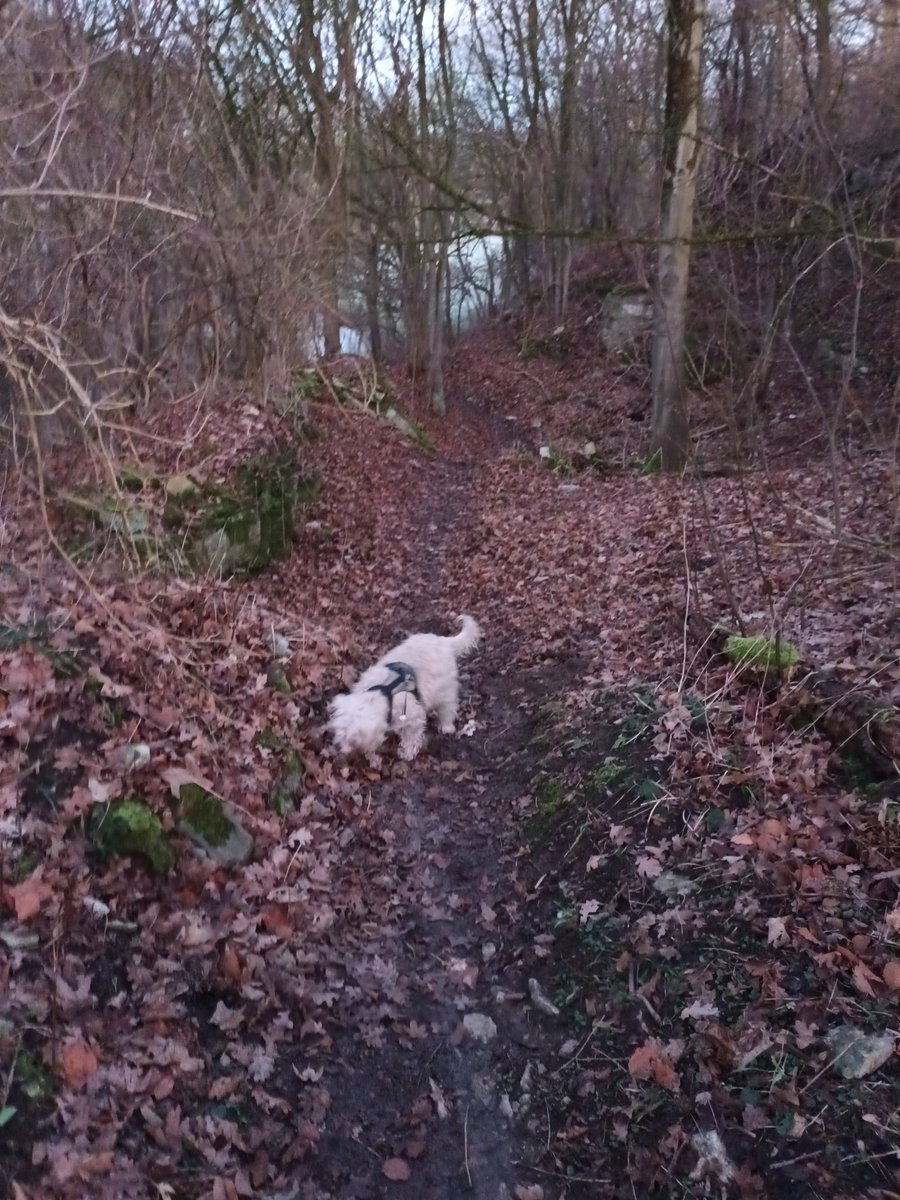 Das tut gut - diese frühen Morgenrunden. 
Ich liebe es, dabeizusein, wenn der Tag beginnt.