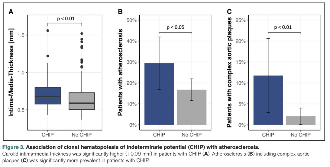 Delighted to contribute to this paper led by <a href="/emayerho/">Ernst Mayerhofer</a> showing that CHIP is enriched among young pts presenting with strokes of unknown etiology, including how CHIP testing changed the management for a subset of patients ahajournals.org/doi/10.1161/ST… <a href="/StrokeAHA_ASA/">Stroke AHA/ASA</a>